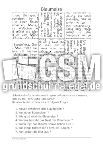 Blaumeise.pdf